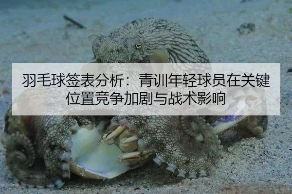 羽毛球签表分析：青训年轻球员在关键位置竞争加剧与战术影响 - Kaiyun